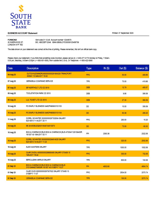 Modèle Word et PDF de déclaration d'entreprise de la South State Bank